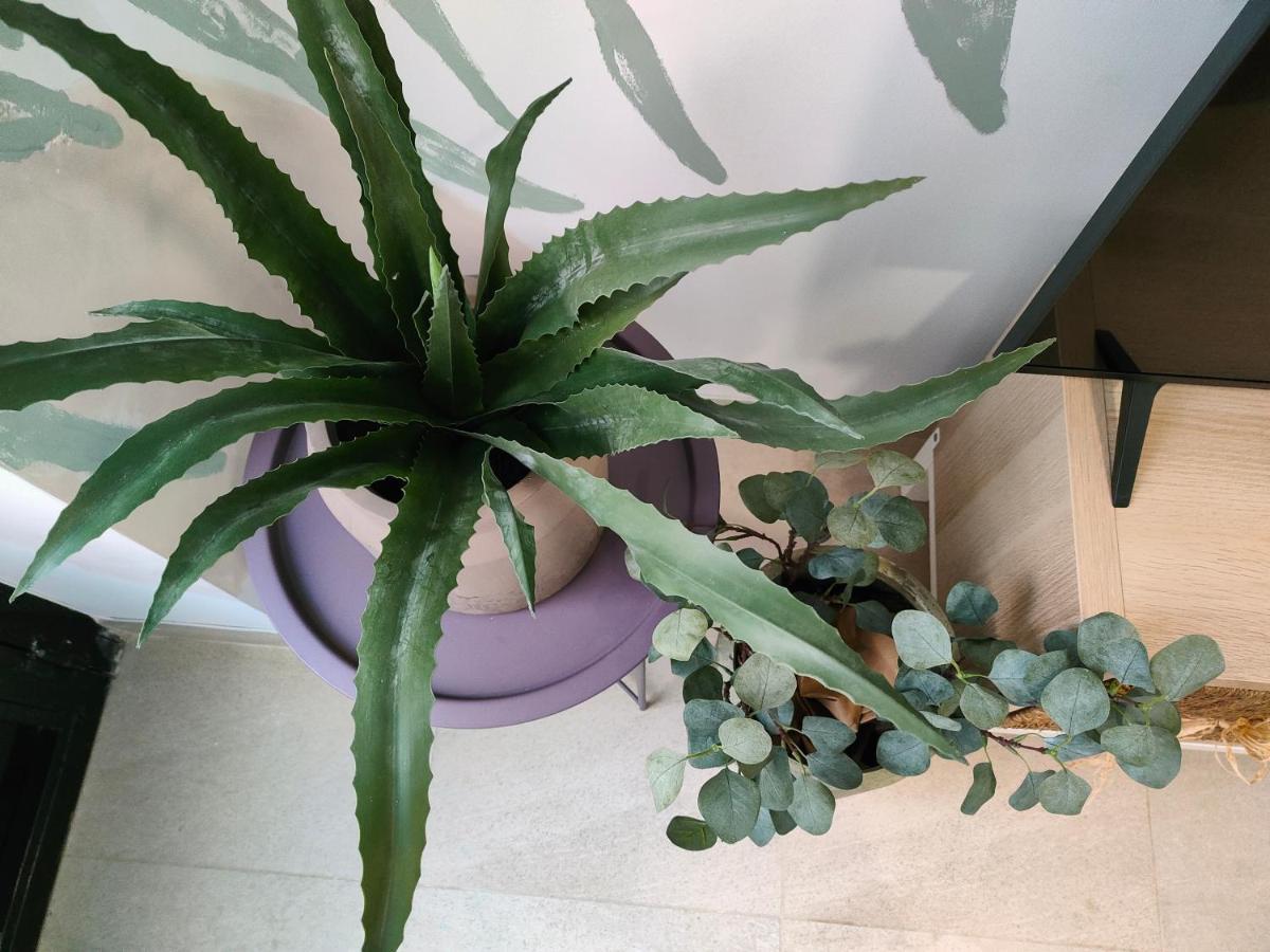 Hola Apartament Αλικάντε Εξωτερικό φωτογραφία